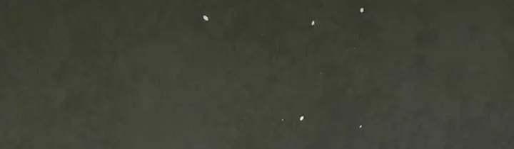 Auto Hunting Chapter 123 Page 19