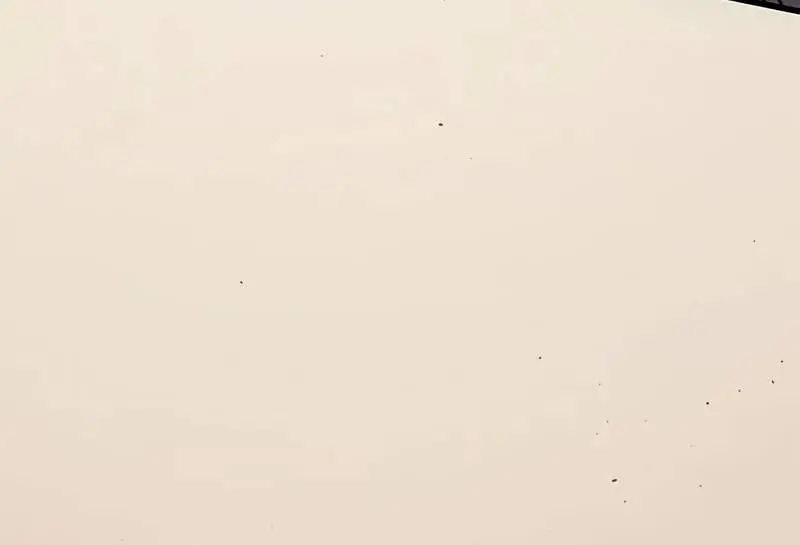 Bad Born Blood Chapter 17 Page 103