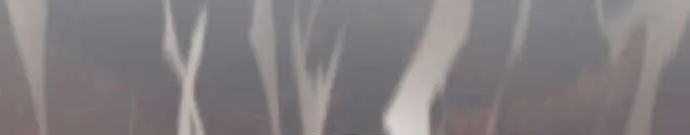 Becoming the Swordmaster Rank Young Lord of the Sichuan Tang Family Chapter 13 Page 99