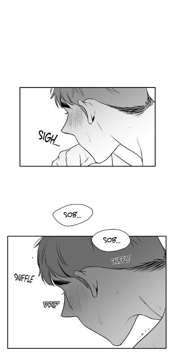 BJ Alex Chapter 39 Page 14