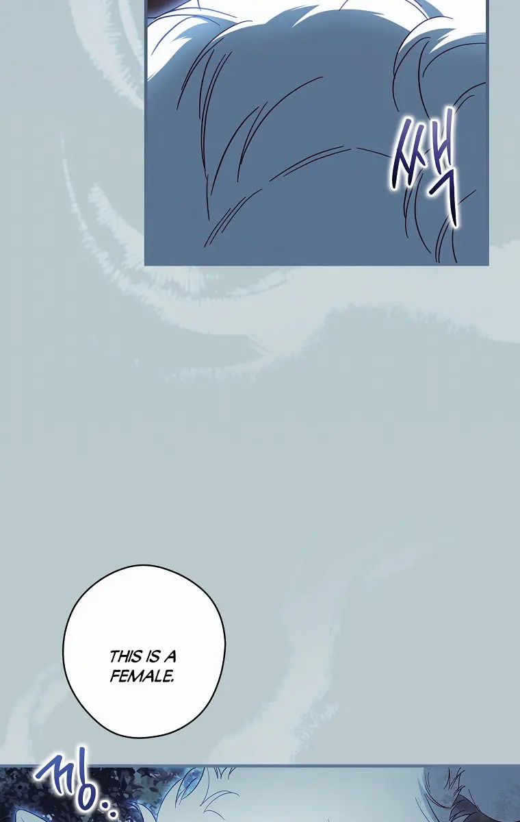How to Get My Husband on My Side Chapter 64 Page 83