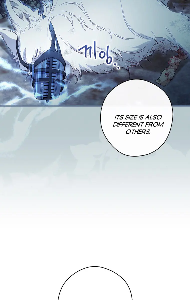 How to Get My Husband on My Side Chapter 64 Page 84