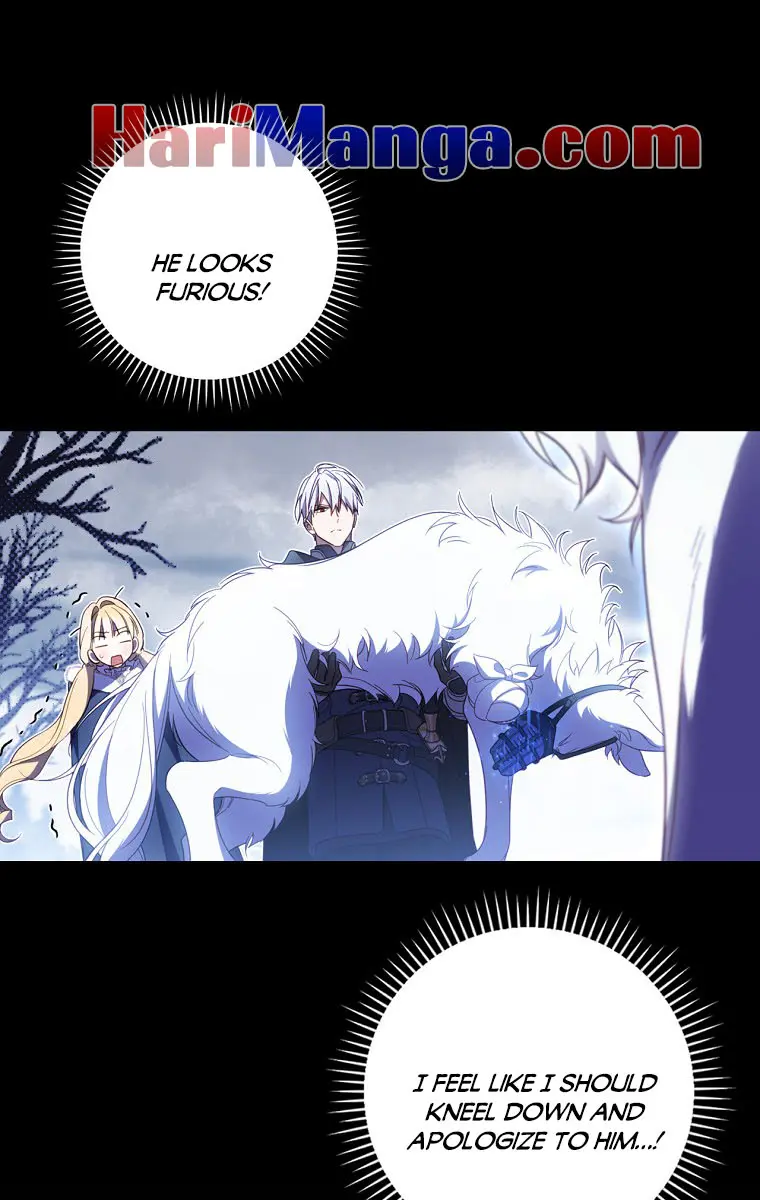 How to Get My Husband on My Side Chapter 65 Page 47