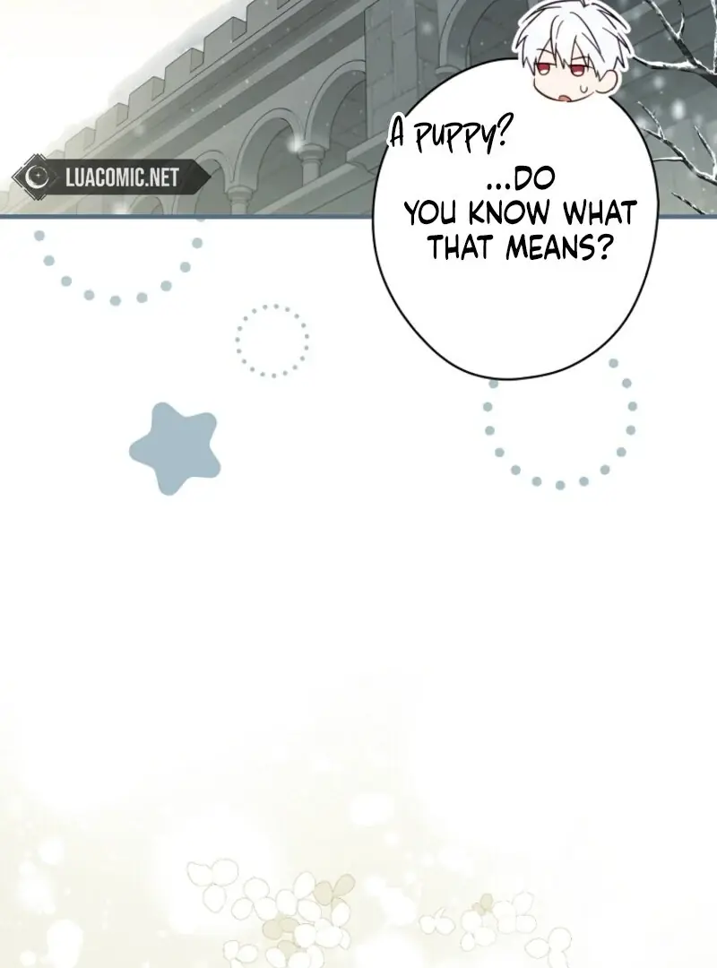How to Get My Husband on My Side Chapter 116 Page 34