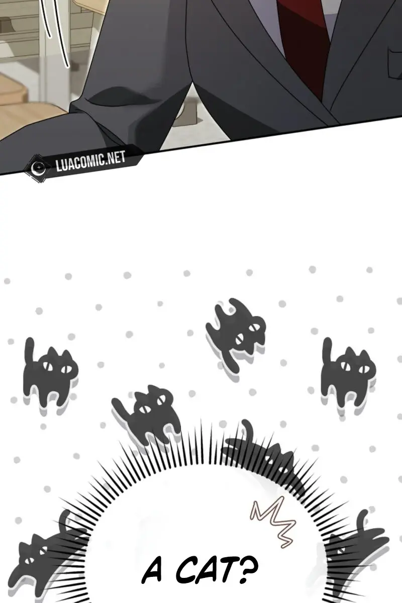 Stuck in Class With the Crazy Male Leads Chapter 32 Page 41