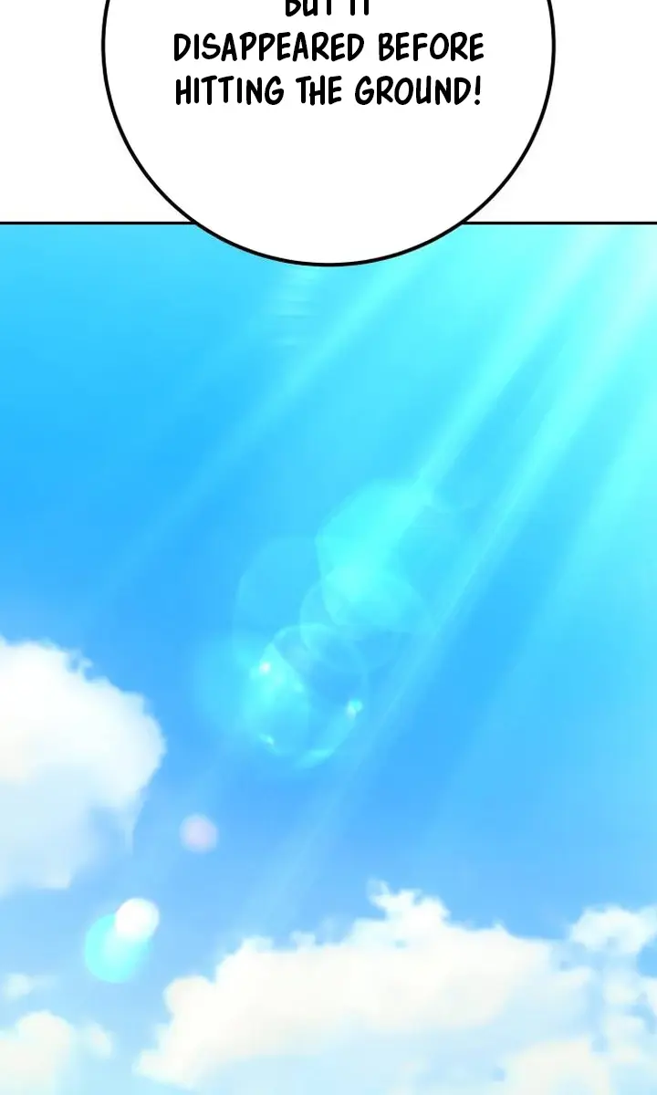 I Was More Overpowered Than the Hero, So I Hid My Power! Chapter 63 Page 13