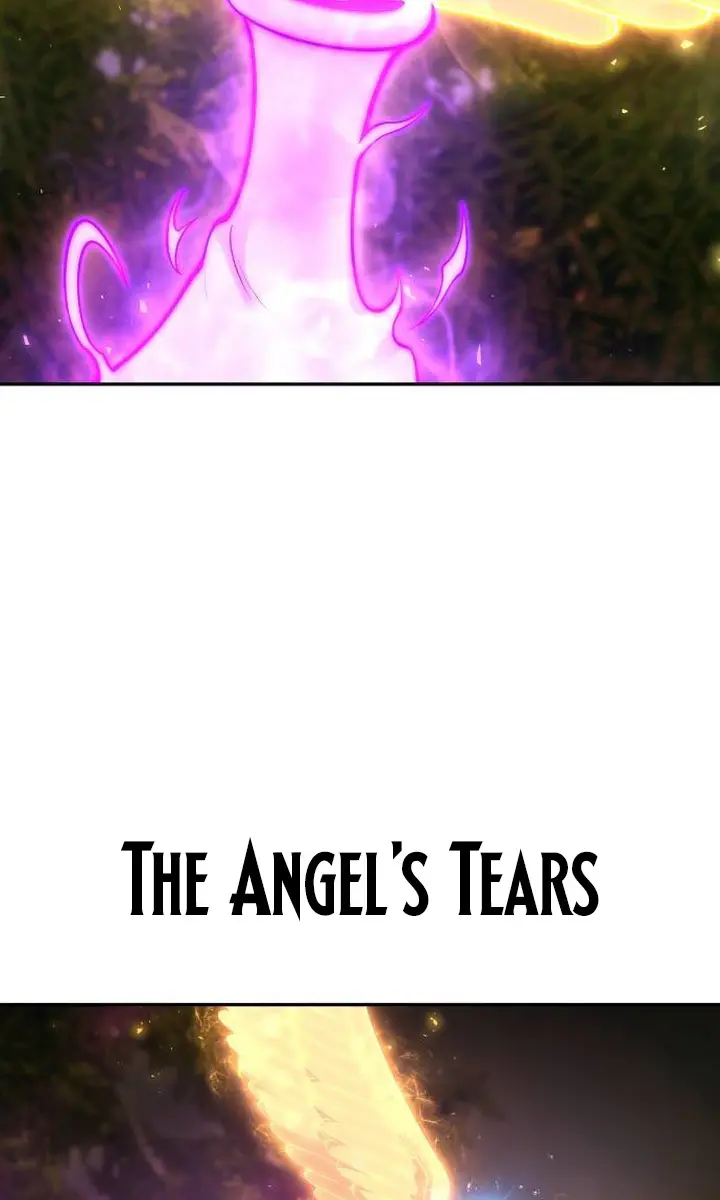 I Was More Overpowered Than the Hero, So I Hid My Power! Chapter 63 Page 68