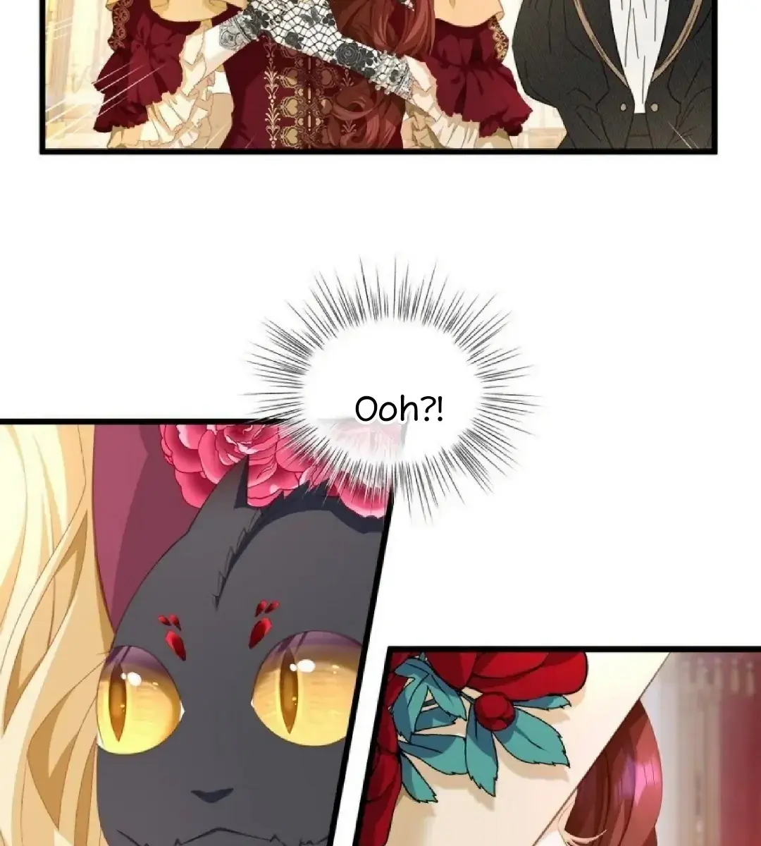 I Was Reborn as His Highness the Prince's Little Evil Dragon Chapter 5 Page 12