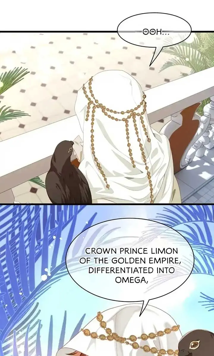 I Was Reborn as His Highness the Prince's Little Evil Dragon Chapter 21 Page 31