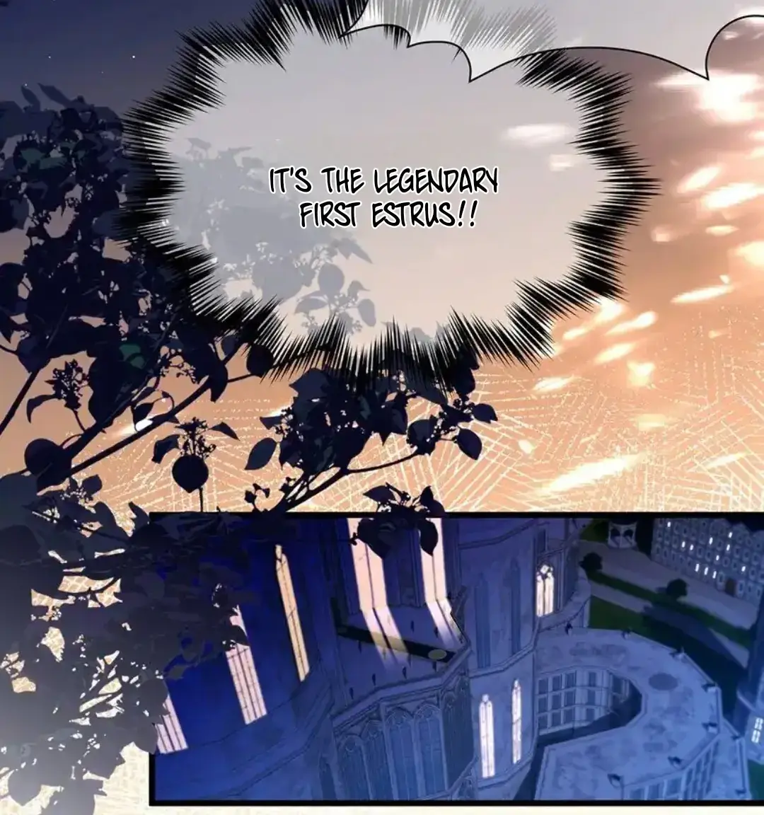 I Was Reborn as His Highness the Prince's Little Evil Dragon Chapter 30 Page 68