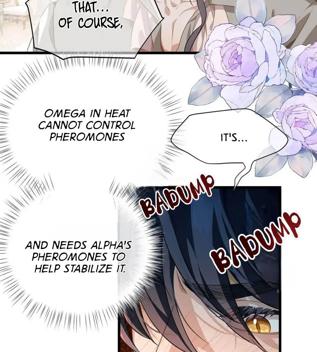 I Was Reborn as His Highness the Prince's Little Evil Dragon Chapter 30 Page 75