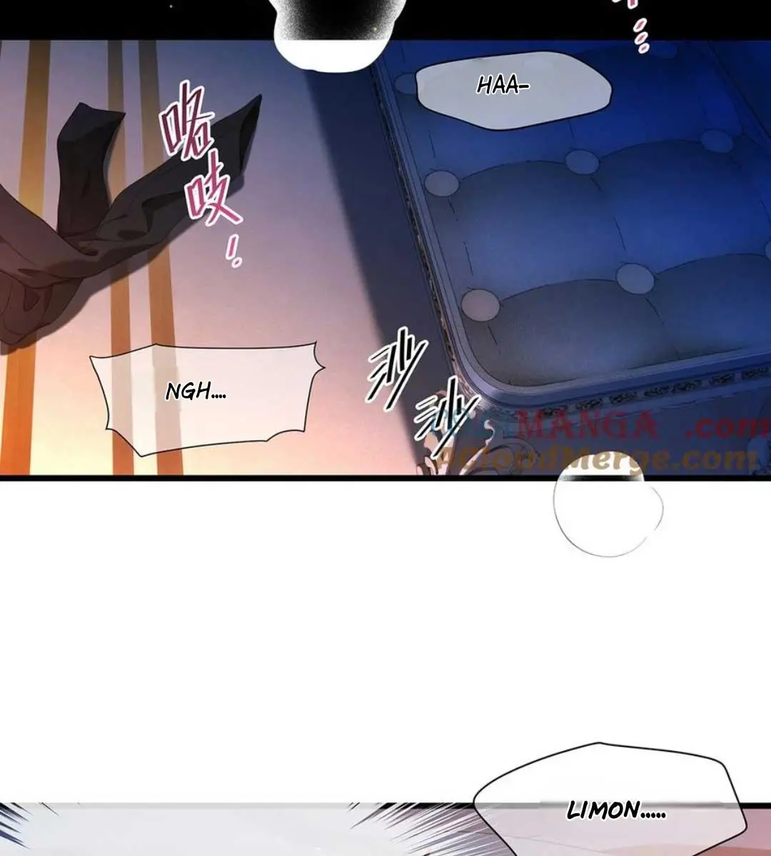 I Was Reborn as His Highness the Prince's Little Evil Dragon Chapter 32 Page 13