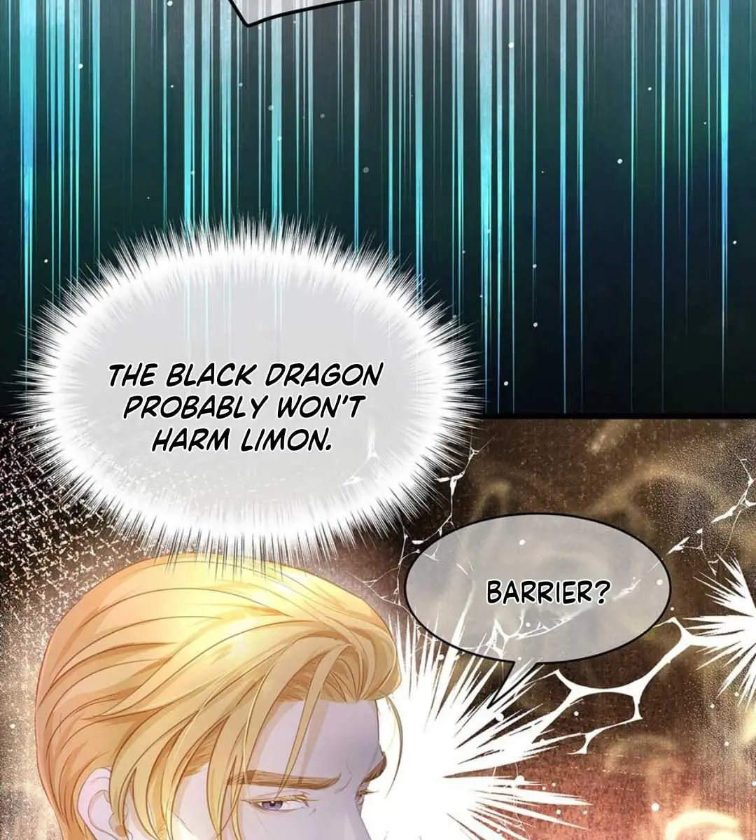 I Was Reborn as His Highness the Prince's Little Evil Dragon Chapter 32 Page 46