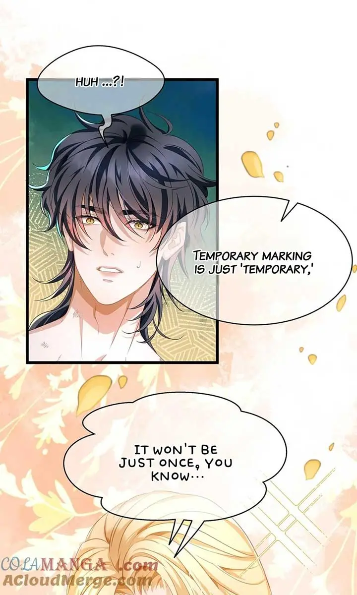 I Was Reborn as His Highness the Prince's Little Evil Dragon Chapter 33 Page 17