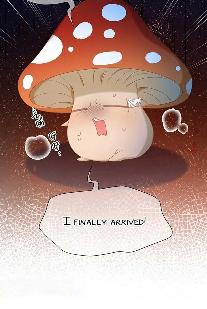 I Was Reborn as His Highness the Prince's Little Evil Dragon Chapter 35 Page 67