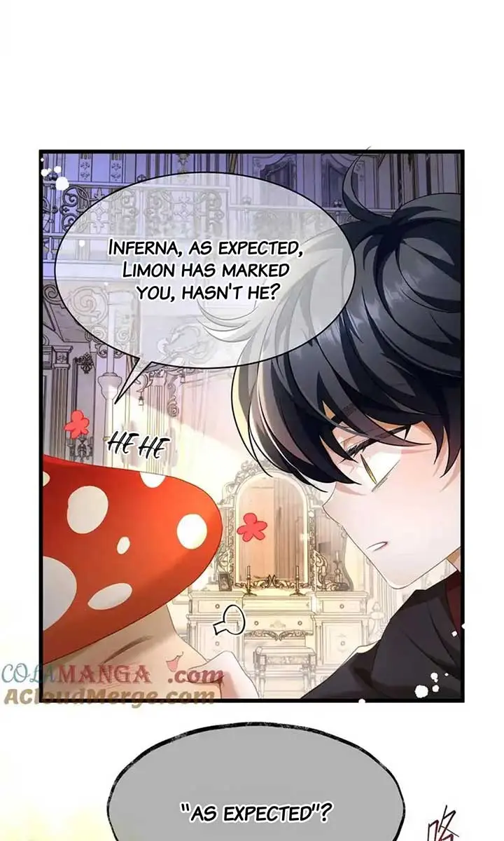 I Was Reborn as His Highness the Prince's Little Evil Dragon Chapter 36 Page 10