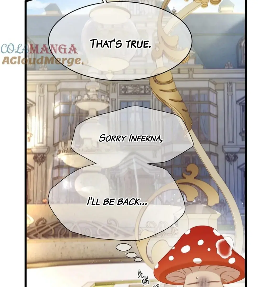 I Was Reborn as His Highness the Prince's Little Evil Dragon Chapter 37 Page 17