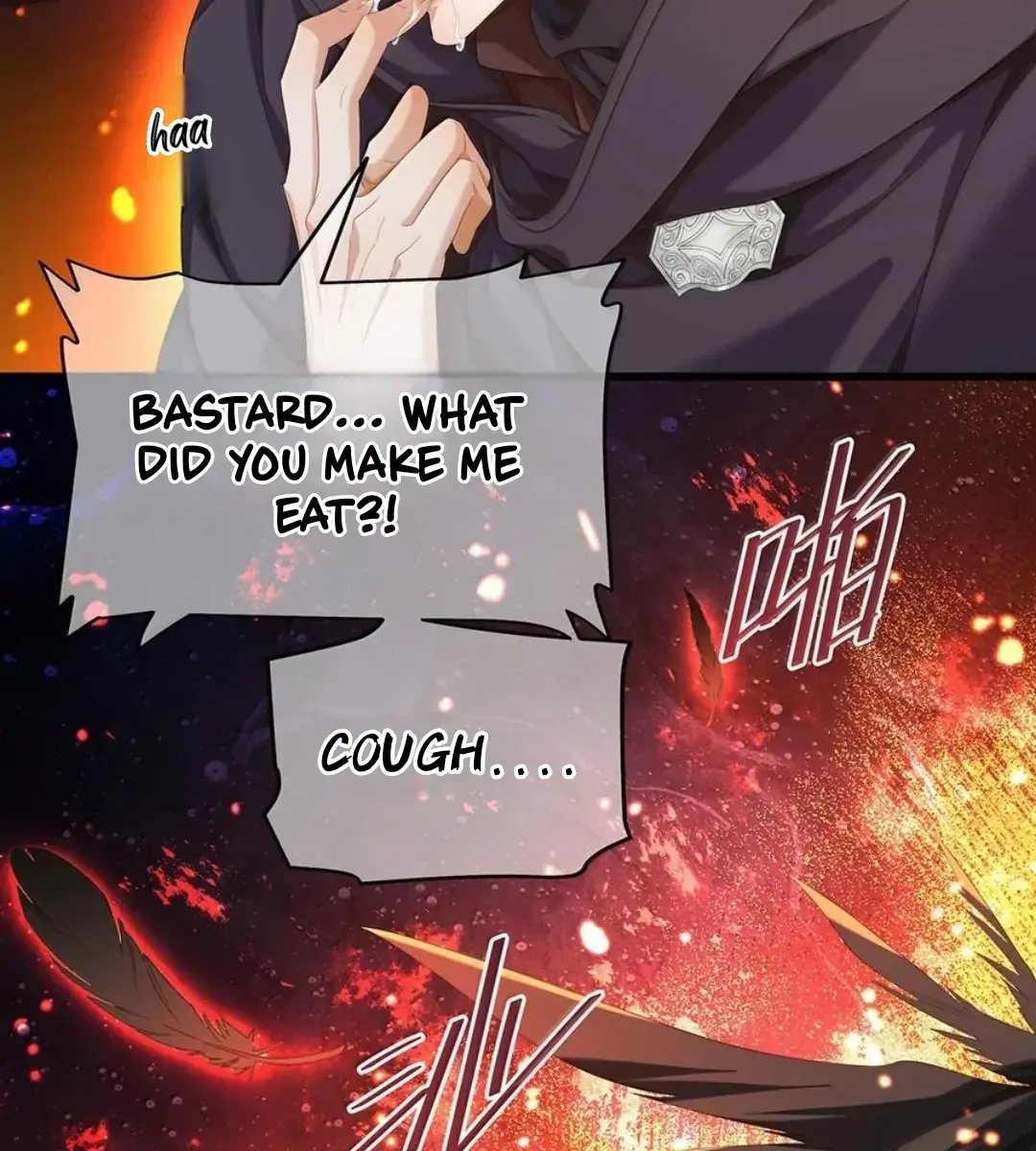 I Was Reborn as His Highness the Prince's Little Evil Dragon Chapter 48 Page 8