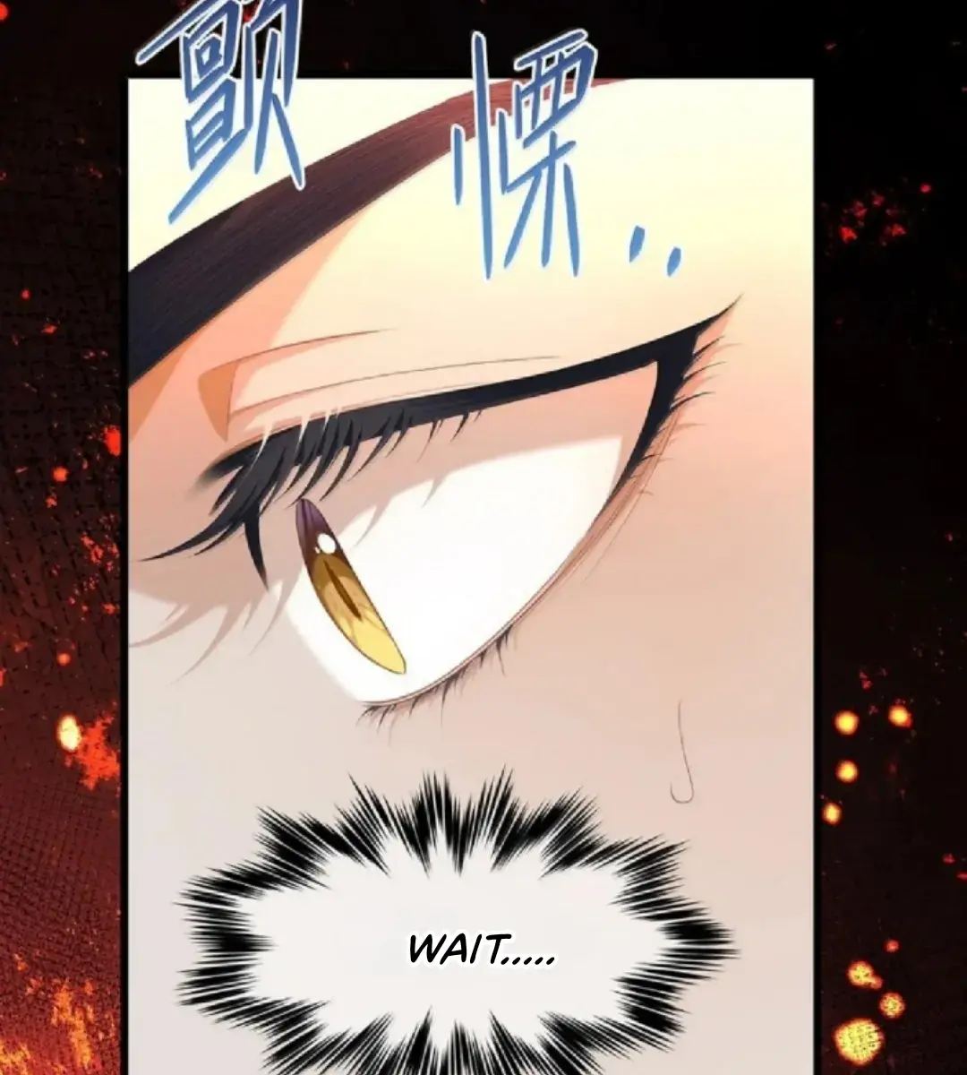 I Was Reborn as His Highness the Prince's Little Evil Dragon Chapter 48 Page 13