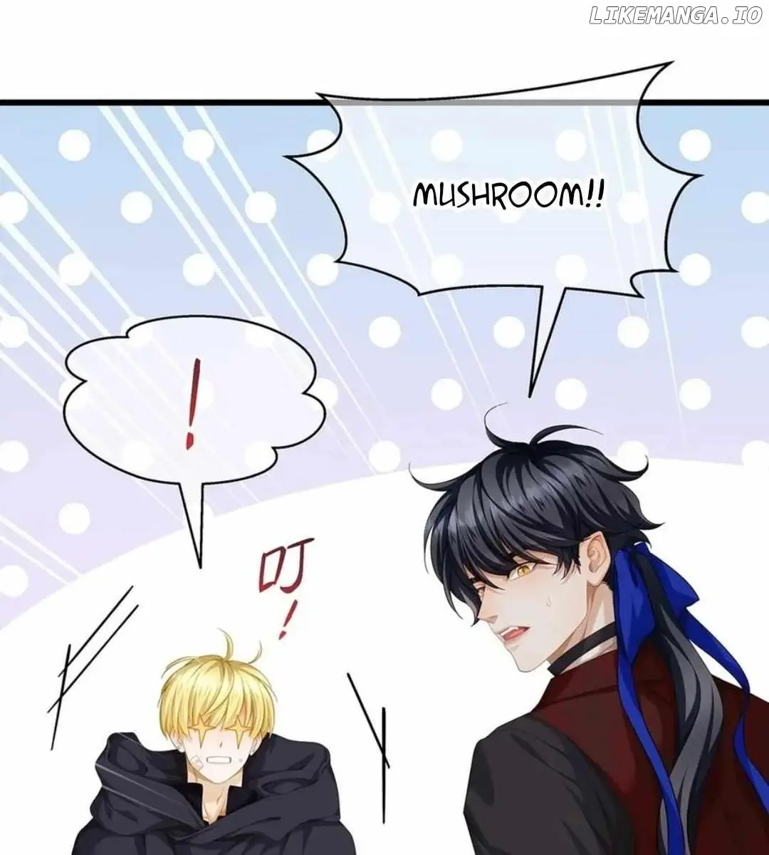 I Was Reborn as His Highness the Prince's Little Evil Dragon Chapter 55 Page 4