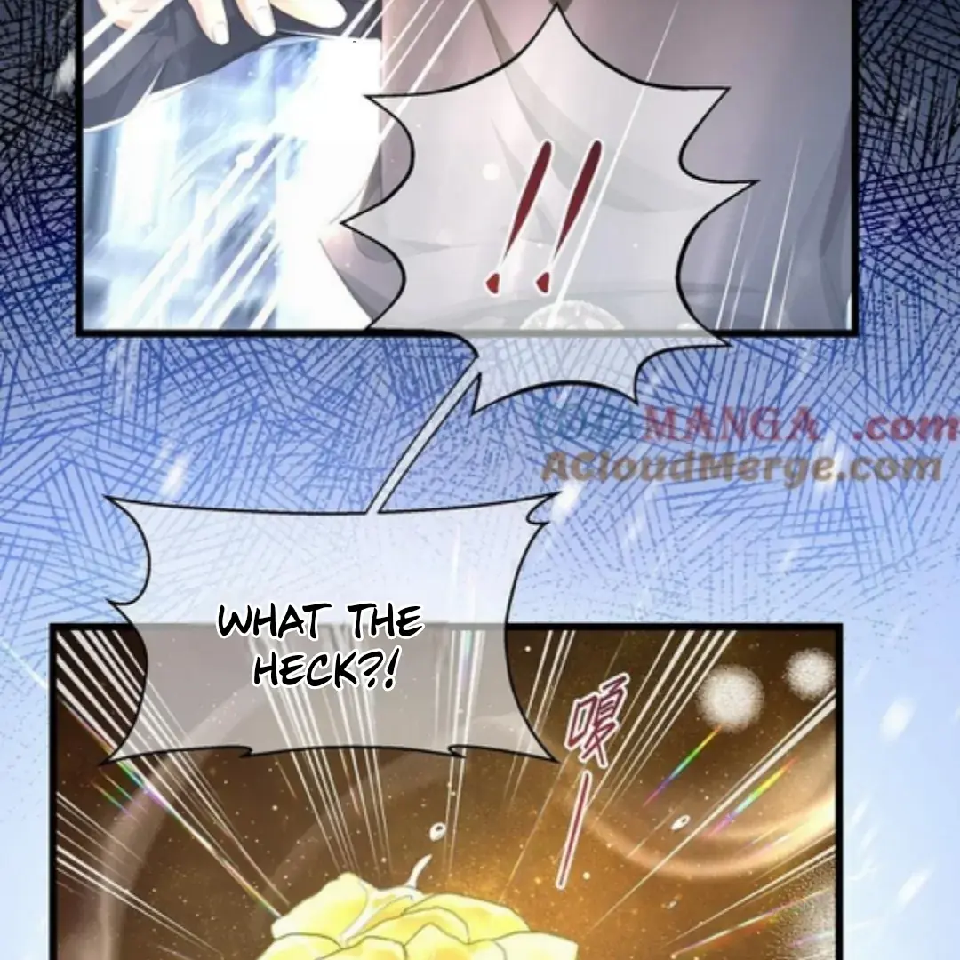 I Was Reborn as His Highness the Prince's Little Evil Dragon Chapter 60 Page 31