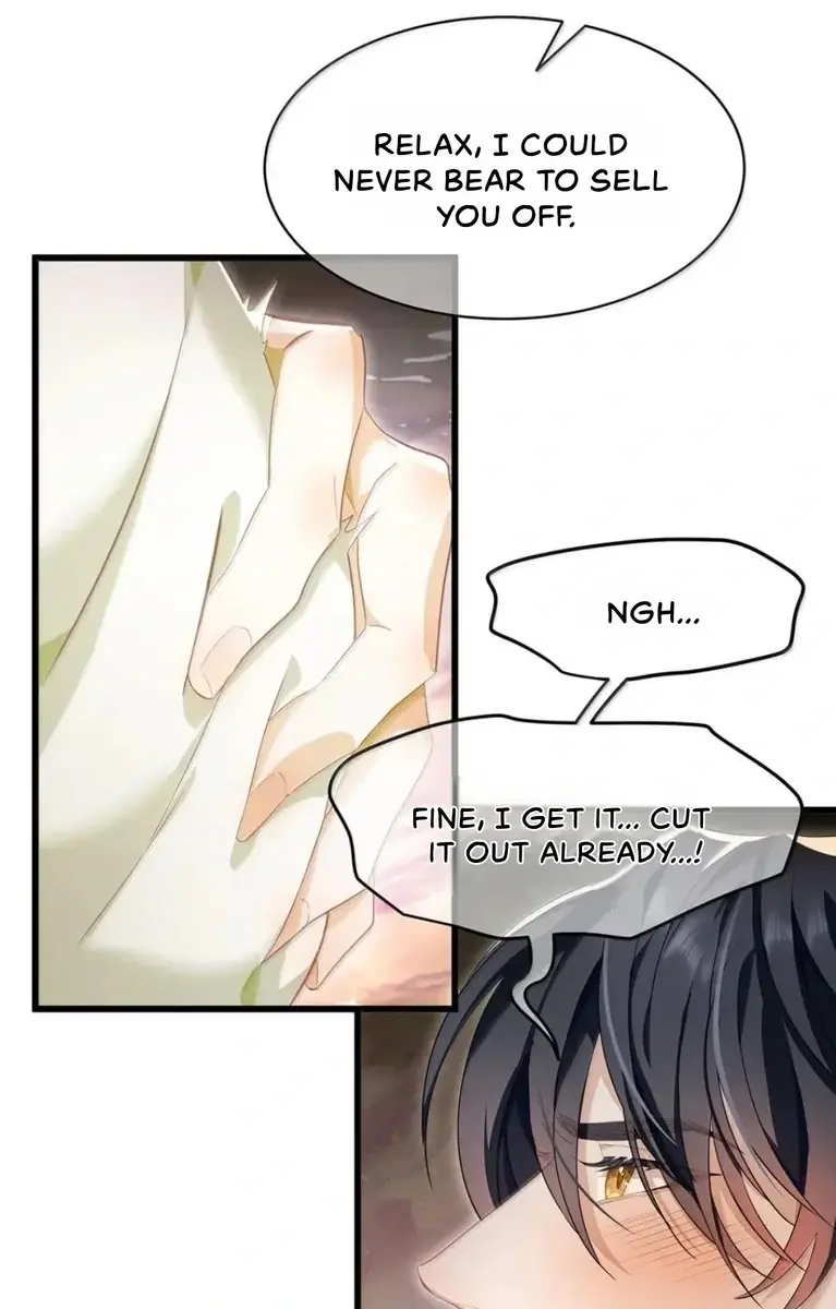 I Was Reborn as His Highness the Prince's Little Evil Dragon Chapter 72 Page 34