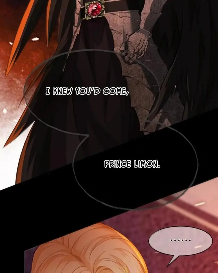 I Was Reborn as His Highness the Prince's Little Evil Dragon Chapter 81 Page 41