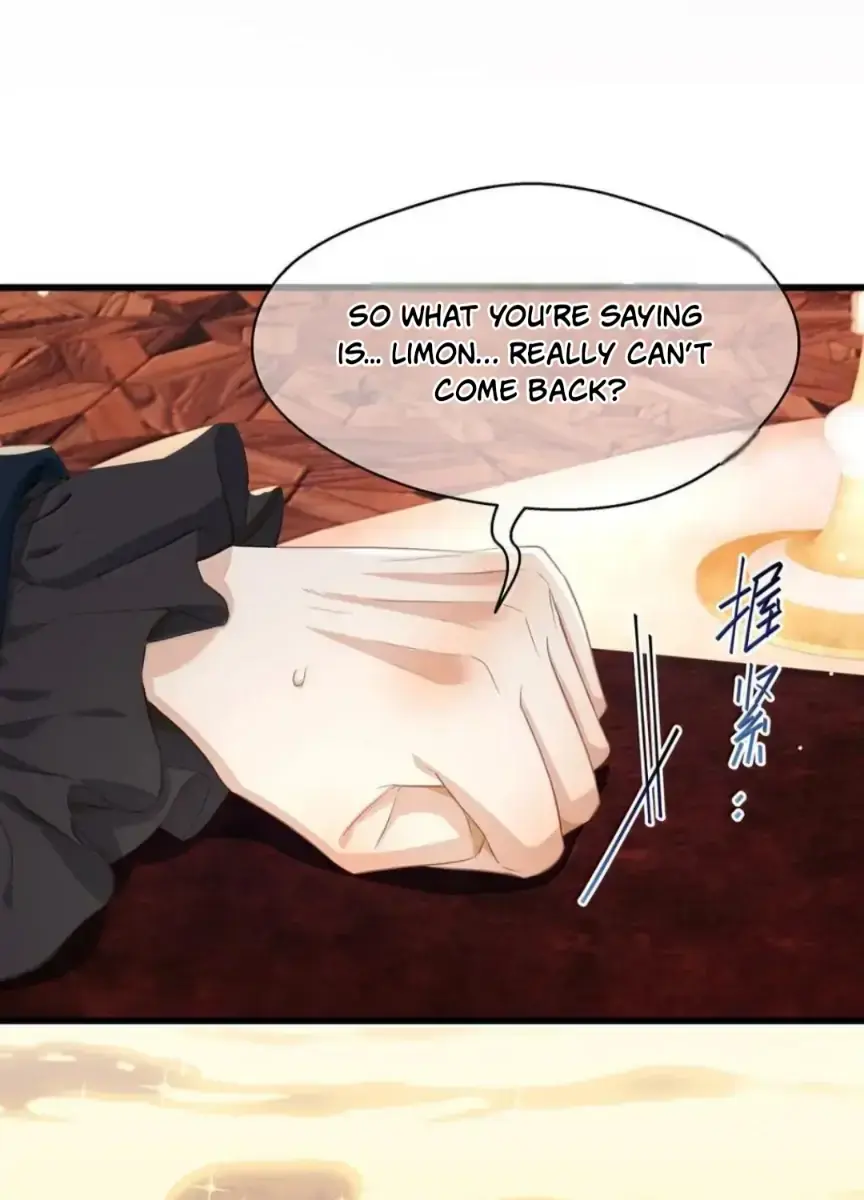 I Was Reborn as His Highness the Prince's Little Evil Dragon Chapter 89 Page 13