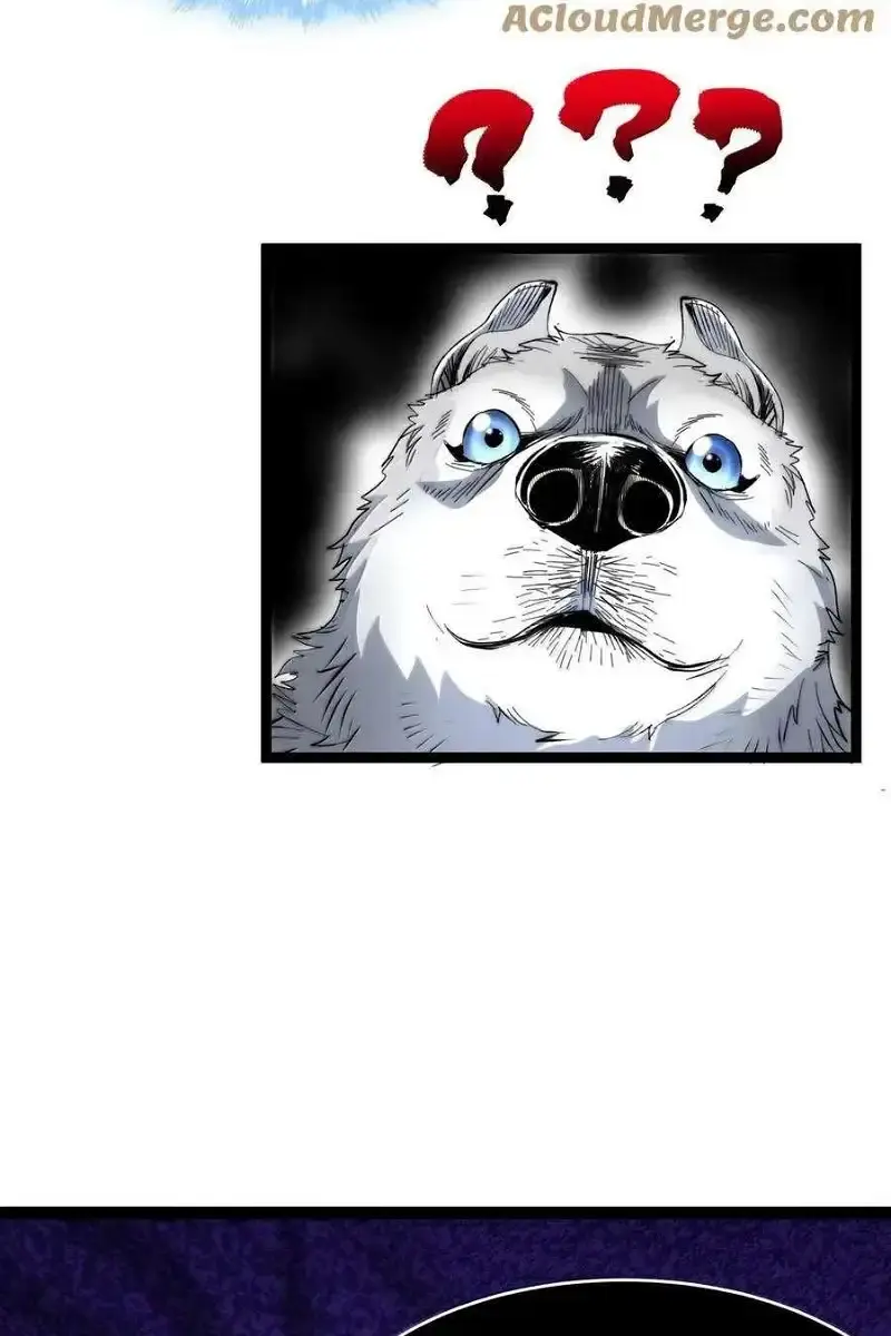 I'm Really Not the Demon God's Lackey Chapter 123 Page 46