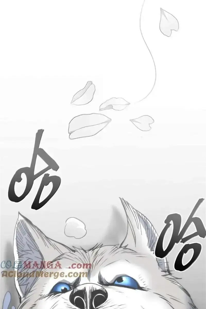 I'm Really Not the Demon God's Lackey Chapter 123 Page 54