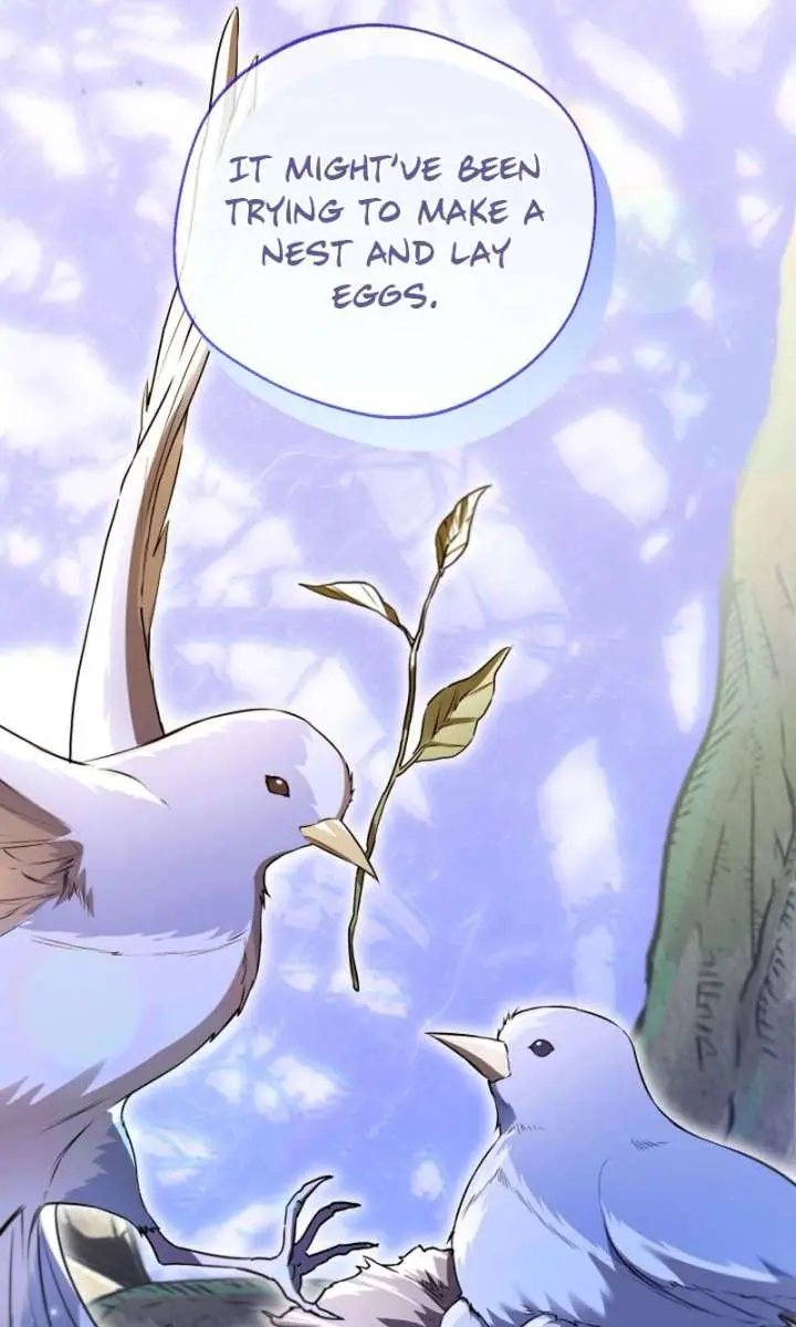 I'm Stuck on a Remote Island with the Male Leads Chapter 41 Page 50