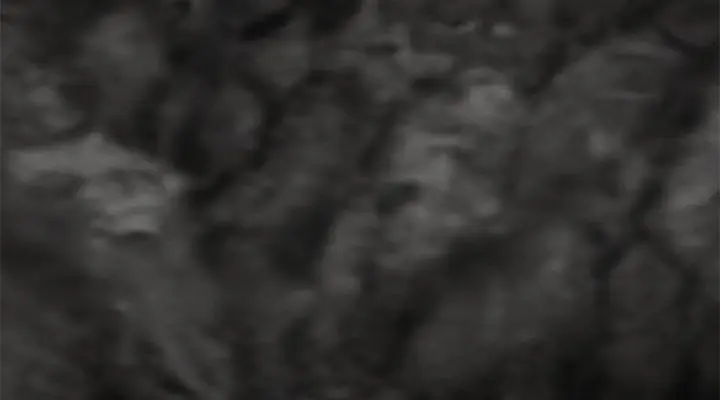 Invincible Territory Chapter 27 Page 149