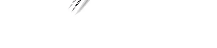 Invincible Territory Chapter 43 Page 160