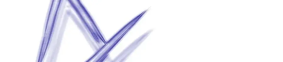 Invincible Territory Chapter 47 Page 215