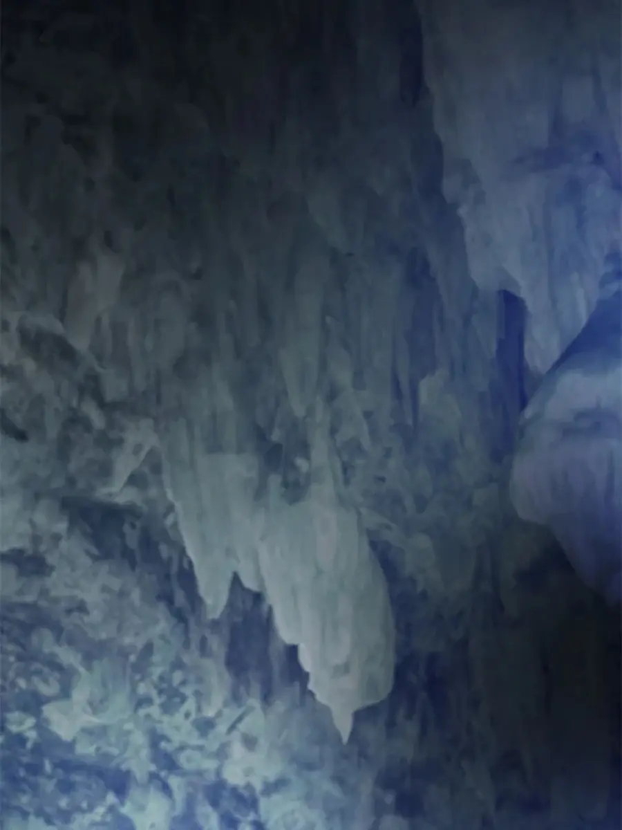 Invincible Territory Chapter 49 Page 194