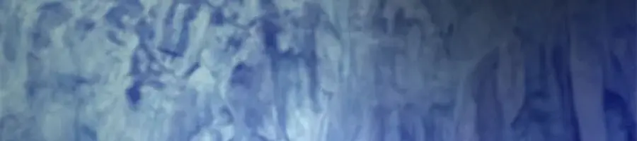 Invincible Territory Chapter 49 Page 195