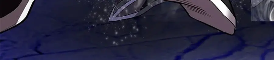 Invincible Territory Chapter 49 Page 205