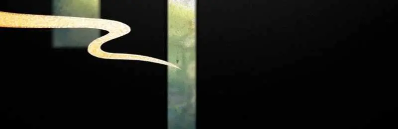 I've Been Invincible for a Long Time Chapter 47 Page 19