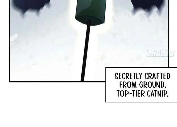 I've Been Invincible for a Long Time Chapter 102 Page 22