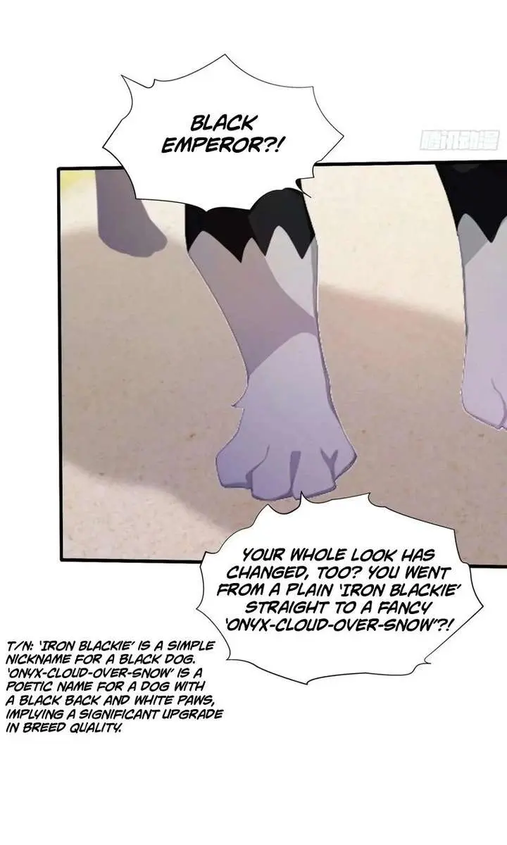 I've Been Invincible for a Long Time Chapter 106 Page 10