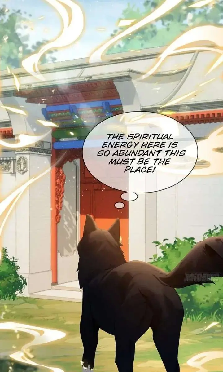 I've Been Invincible for a Long Time Chapter 179 Page 12