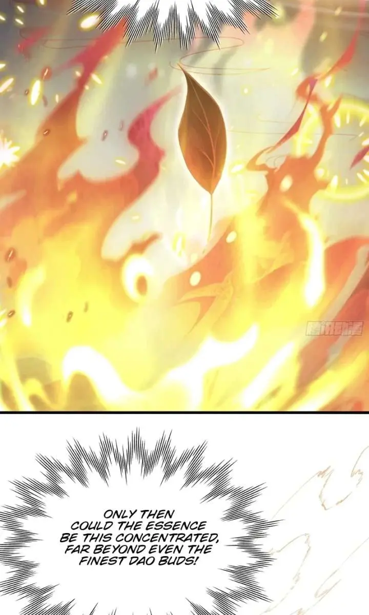 I've Been Invincible for a Long Time Chapter 205 Page 15
