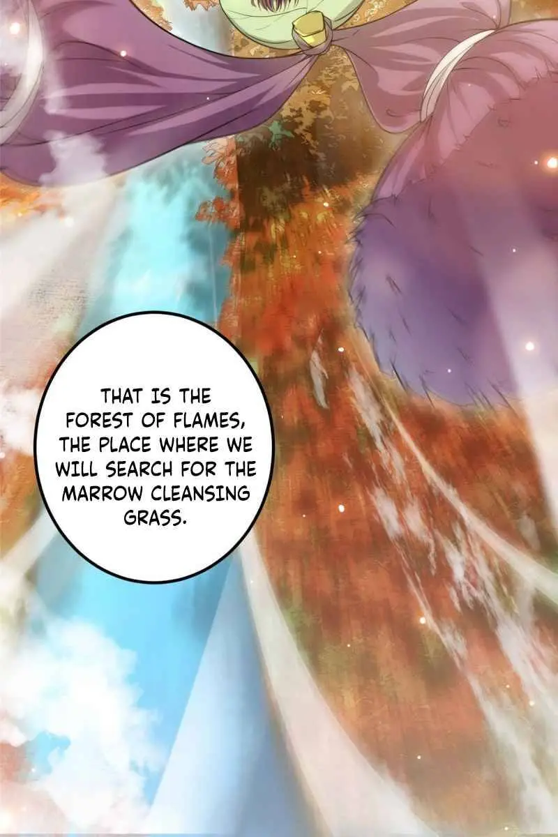Keep a Low Profile, Sect Leader Chapter 4 Page 7