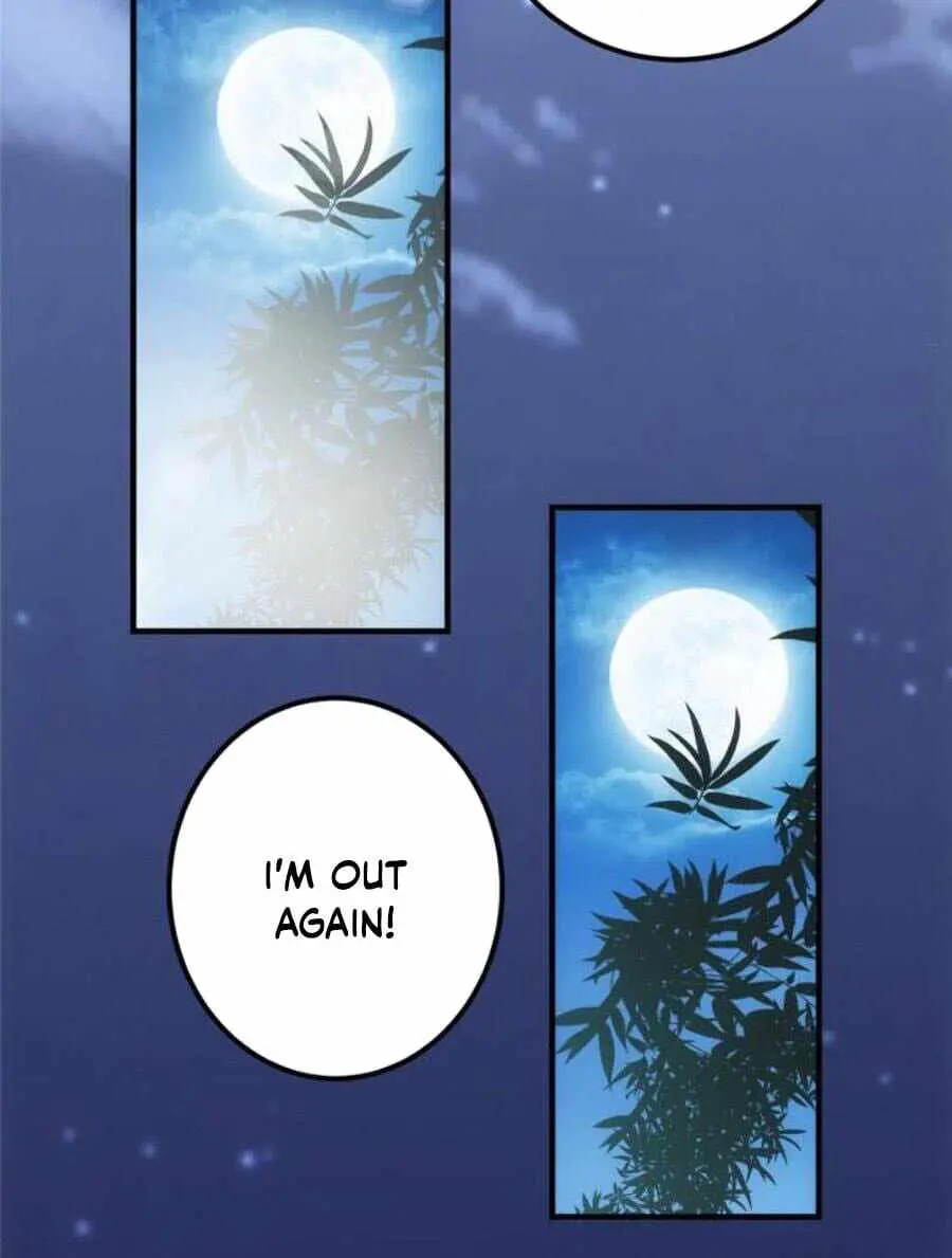 Keep a Low Profile, Sect Leader Chapter 72 Page 23