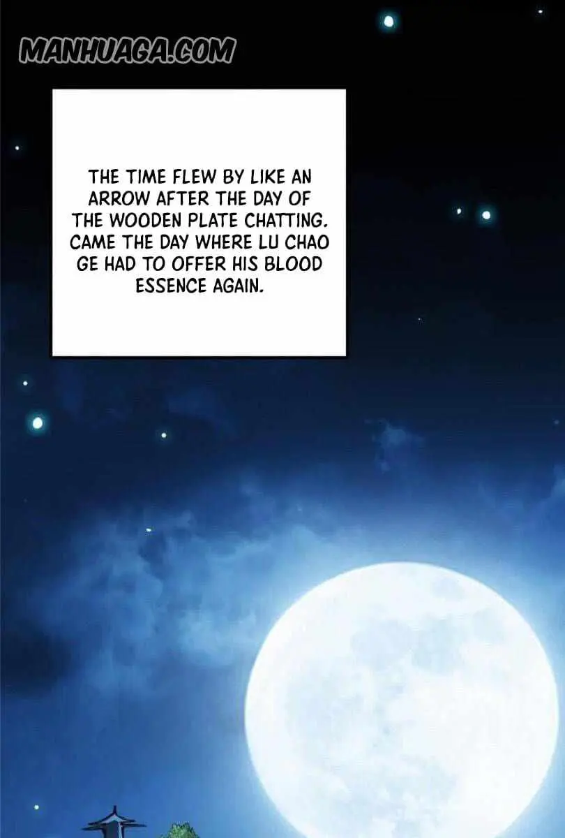 Keep a Low Profile, Sect Leader Chapter 74 Page 5