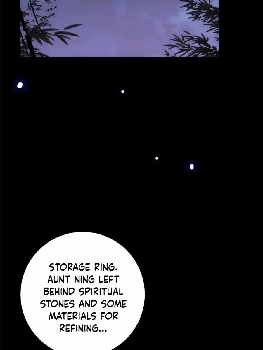 Keep a Low Profile, Sect Leader Chapter 107 Page 49