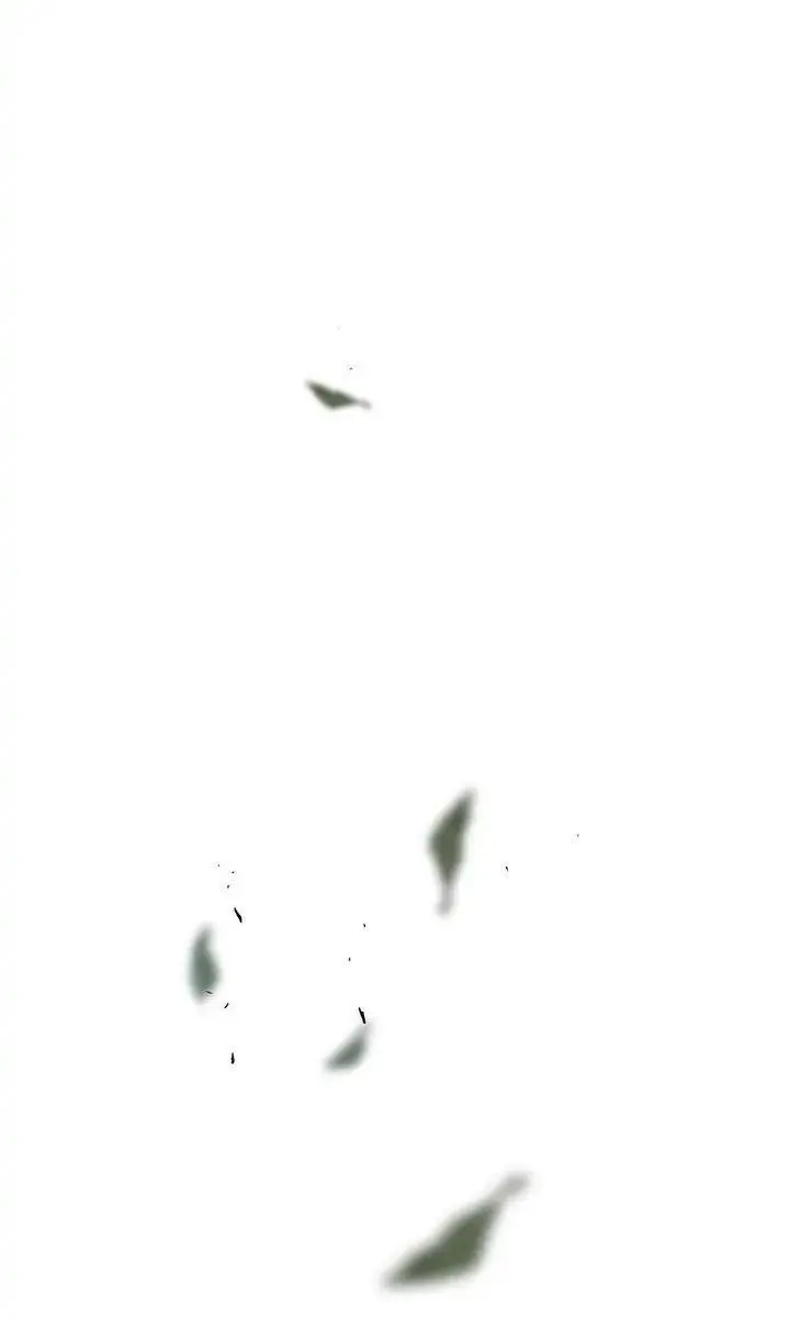 The Legend of the Northern Blade Chapter 74 Page 37