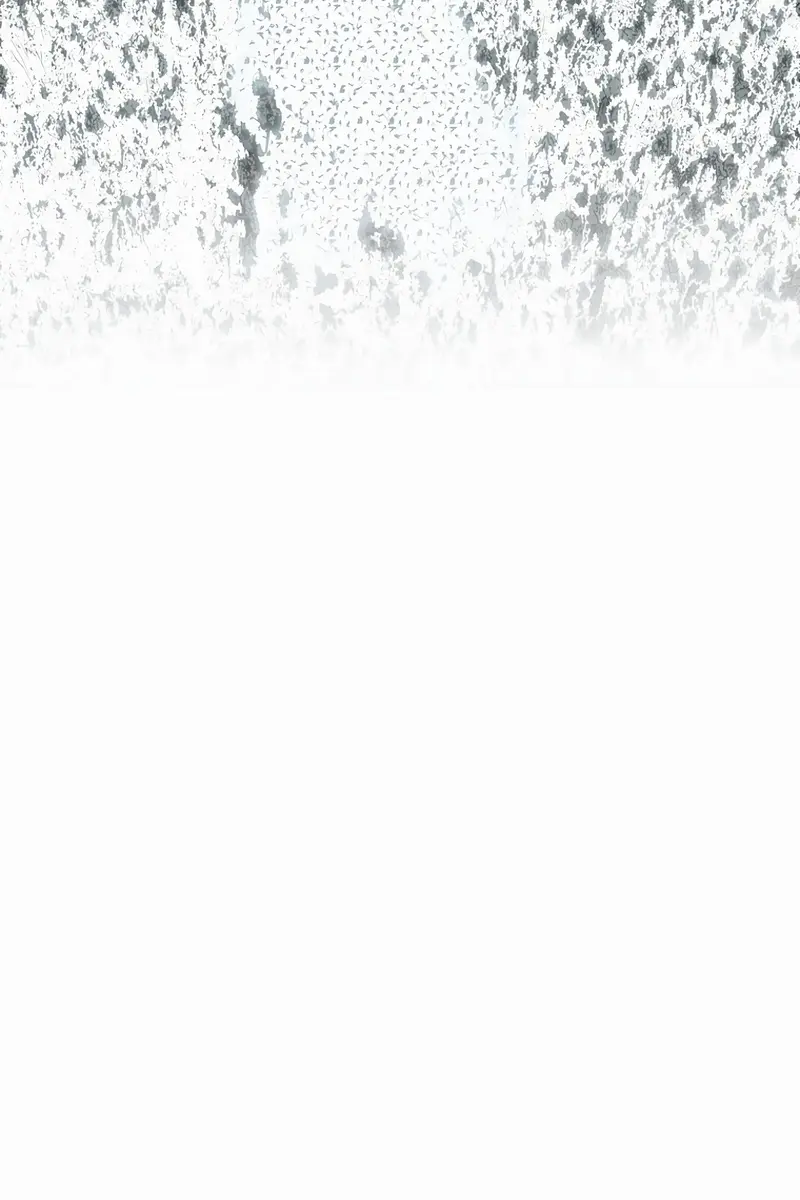 The Legend of the Northern Blade Chapter 194 Page 49