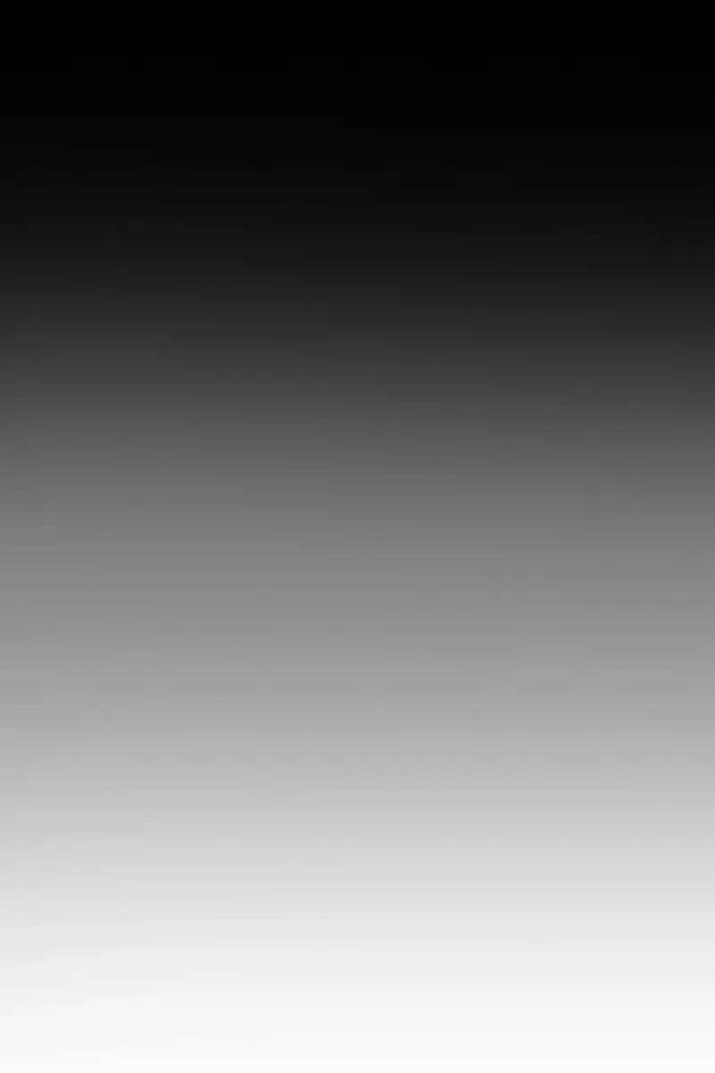 The Legend of the Northern Blade Chapter 199 Page 71