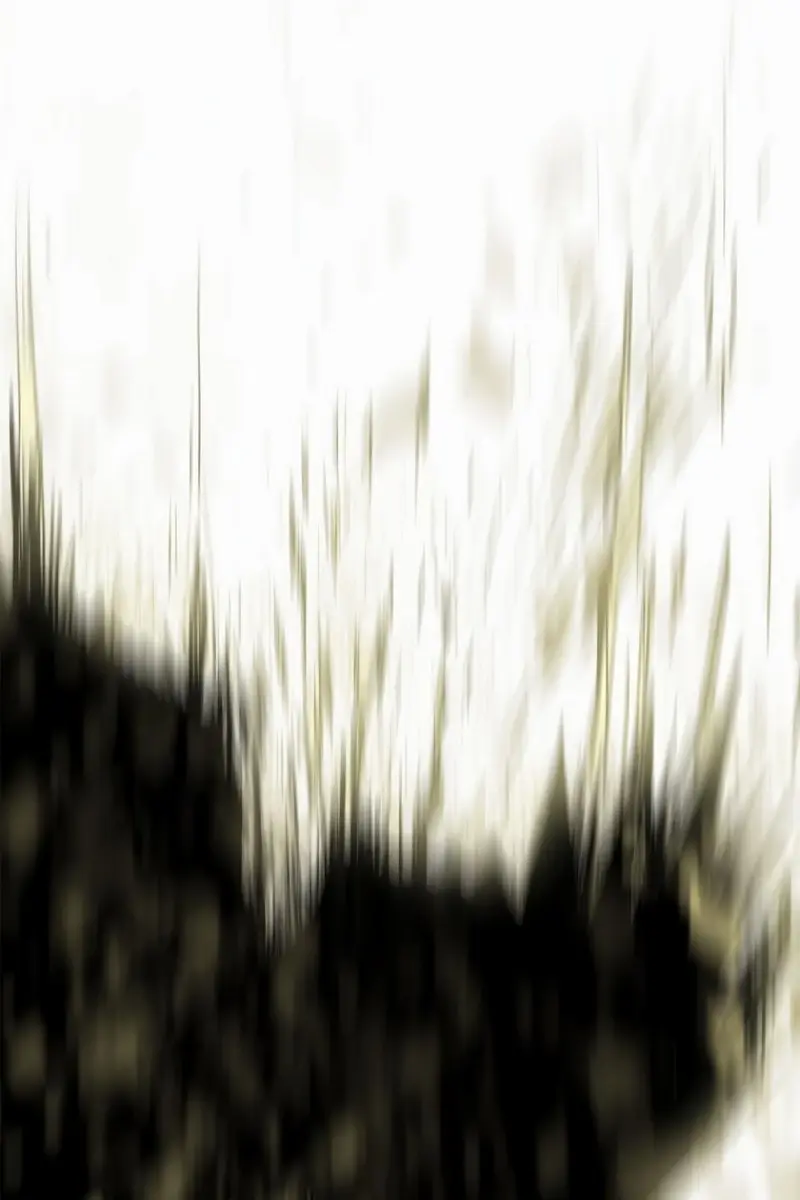 The Legend of the Northern Blade Chapter 201 Page 51